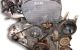 Motor G4JP Hyundai Sonata IV (EF) 2.0 (136 cv)