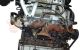 Motor G6CT Kia Enterprise 3.0 i V6 24V (205 cv)