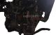 Motor G8DA Ford FOCUS C-MAX 1.6 TDCi  (109 CV)