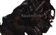 Motor G8DA Ford FOCUS C-MAX 1.6 TDCi  (109 CV)