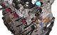 Motor G8DD Ford FOCUS C-MAX 1.6 Ti  (115 CV)