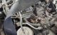 Motor N22a2 Honda Civic 5D VIII 2.2 D (140 cv)