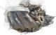 Motor HR16de Nissan Qashqai 1.6 (114 cv)