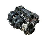 Motor HXDA Ford C-MAX II 1.6 Duratorq TDCi (115 cv) DPF S&S