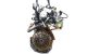 Motor K9K 724 Renault Scenic II 1.5 dCi (86cv)