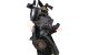 Motor k9k 804 Renault Kangoo II 1.5 dCi (110 cv)