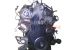 Motor k9k 884 Renault Scenic III 1.5 DCI (95 CV)