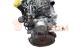 Motor K9K6770 Renault Clio III (Versión 2009) 1.5 dCi (75 cv)