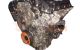 Motor llt Cadillac STS 3.6 i V6 24V VVT (258 cv)