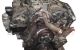 Motor LT1(350CUV8) Chevrolet Camaro VI Convertible 2.0 (275 cv) Automatico