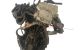 Motor M 111.955 Mercedes Benz Clase C (W203) C 200 Kompresor (203.045) (163 cv)