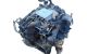 Motor m 113.960 Mercedes Benz Clase S (W220) S 500 (220075/175) (306 cv)
