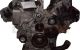 Motor M 113.967 Mercedes Benz Clase E (W211) E 200 Kompressor (163 cv)