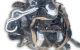 Motor M 133.980 Mercedes Benz GLA (X156) AMG GLA 45 (360 cv) 4MATIC DCT
