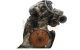 Motor M 160.910 Smart Cabrio (450) 0.7 (450,452, 450,432) (61 cv)