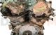 Motor M 274.910 Mercedes Benz Clase C (W205) C 300 (245 cv) G-TRONIC
