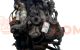 Motor M1DD Ford C-MAX II 1.0 EcoBoost (100 cv) S&S