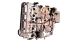 Motor M43 B16 (164E2) Bmw Serie 3 Touring (E36) 316i (102 cv)