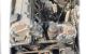 Motor M43 B18 (184E2) Bmw Serie 3 (E36) 318i (115 cv)
