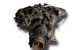 Motor M54 B22 (226S1) Bmw Serie 5 Touring (E39, Versión 2000) 520i 24V (170 cv)