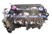 Motor M57 D25 (256D2) Bmw Serie 5 (E60) 525d (177 cv) 2006