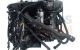 Motor M57 D30 (306D1) Bmw Serie 5 (E39, Versión 2000) 530d (193 cv) Automatico