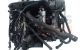 Motor M57 D30 (306D3) Bmw Serie 5 Touring (E61, Versión 2007) 525xd (197 cv)
