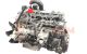 Motor M665.925 Ssangyong Rexton II RX 270 Xdi Automatico (163 cv)
