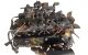 Motor M665.925 Ssangyong Rexton II RX 270 Xdi Automatico (163 cv)