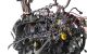 Motor M9R 630 Opel Vivaro A (Versión 2006) 2.0 CDTI (114 cv) DPF Automatico