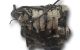Motor FS7E Mazda Premacy (CP) 2.0 16V (131 cv)