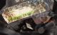 Motor W211 Mercedes Benz Clase S (W221) S 320 CDI (235 cv)