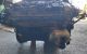 Motor 612963 Mercedes Benz ML (W163) ML 270 CDI (163 cv) Automatico
