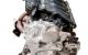 Motor MR20DE Nissan X-Trail II (T31) 2.0i 16V (141 cv) 4x4 CVT