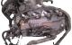 Motor N22A1 Honda Accord VII 2.2 i-CTDi (140 cv)