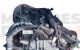 Motor N47D20C Bmw Serie 5 (E60, Versión 2007) 520d (177 cv)