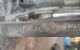 Motor MR20 Nissan Qashqai 2.0 (141 cv)
