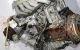 Motor OM 602.980 Mercedes Benz Sprinter 2-t Autobús (901, 902) 212 D (122 cv)