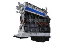 Motor om 651.924 Mercedes Benz Clase E (W212) E 220 CDI (170  cv) DPF 2010
