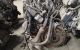 Motor X16XEL Opel Astra G 1.6 16V (101 cv)