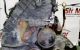 Motor RY17DT Opel Astra G 1.7 DTI 16V Eco4 (75 cv)