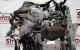 Motor RY17DT Opel Astra G 1.7 DTI 16V Eco4 (75 cv)