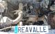 Motor C20NE Opel Frontera A Sport 2.0i (115 cv) 4x4