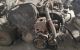 Motor RFN Peugeot 406 Coupe (8) 2.0 16V (135 cv)