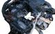 Motor PT204 Land Rover Range Rover Velar 2.0 P400 Hybrid 4x4 (404 cv)