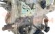 Motor PY01 Mazda 6 II Hatchback (GH) 2.5i (170 cv)