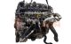 Motor R2AA Mazda 6 II Hatchback (GH) 2.2 CD (163 cv)