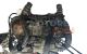 Motor R2PA Ford Transit Connect 1.8 DI (75 cv)