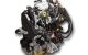 Motor R9M 413 Fiat Talento Van 1.6 Ecojet (95 cv) L1H1