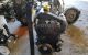 Motor K9KV7 - K9KV714 Renault Kangoo Express (FC) 1.5dci (68cv)